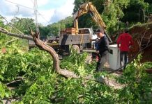 Fuertes lluvias y ráfagas de viento causan destrozos estructurales en varios municipios del estado Cojedes